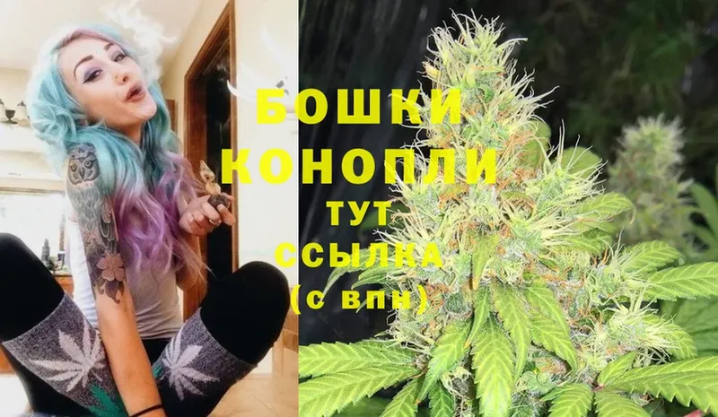 Бошки марихуана план  маркетплейс формула  Камышин  OMG ONION 